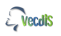 vecdis is using voxini